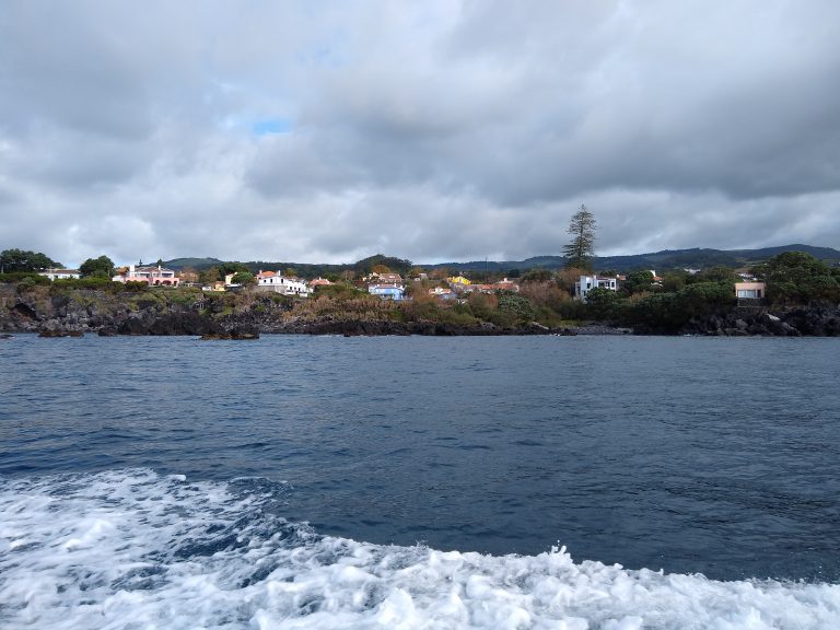 Trip to the Azores, Terceira: Whale and Dolphin watching