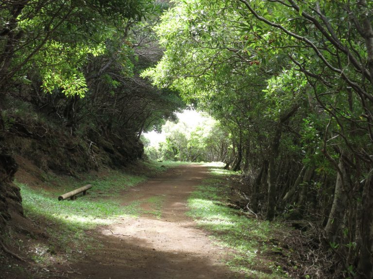 Trip to the Azores, Terceira: Angra and Monte Brazil