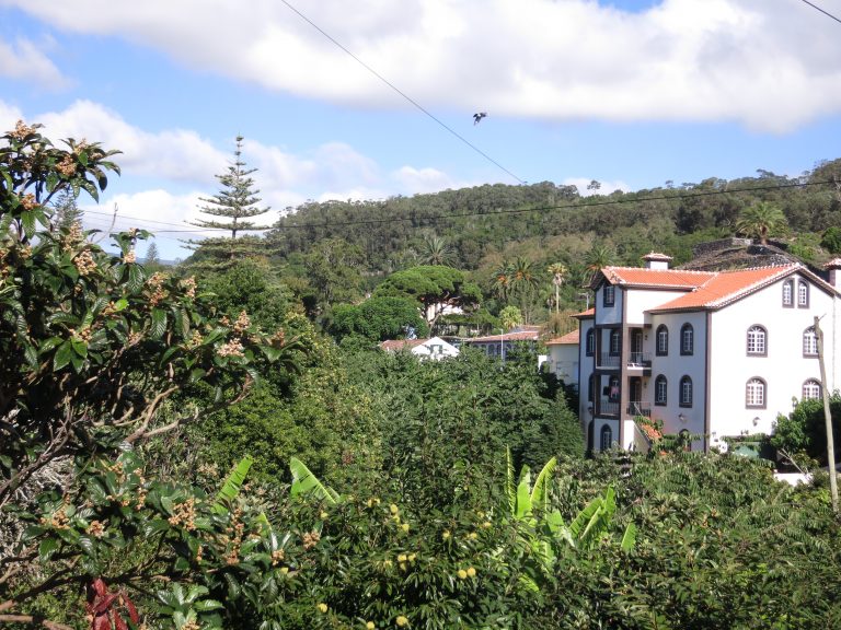 Trip to the Azores,  a short walk from Angra to São Mateus da Calheta