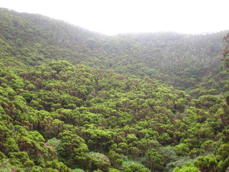 Trip to the Azores, Algar do Carvão