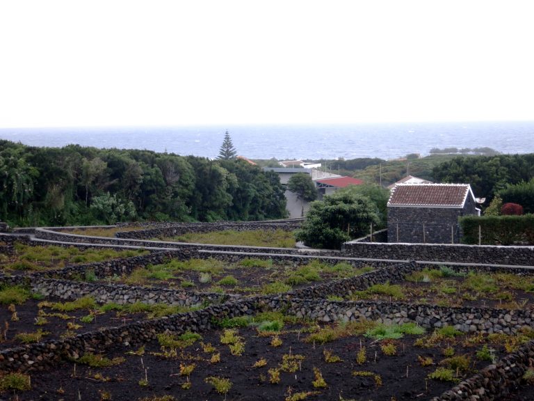 Trip to the Azores, Miscellaneous