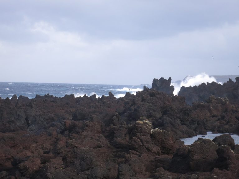 Trip to the Azores, the swimming pools of Biscoitos