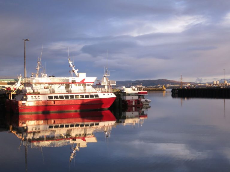 Icland, Reykjavík, Harbour view