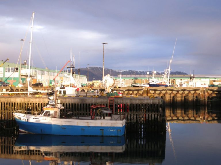 Icland, Reykjavík, Harbour view