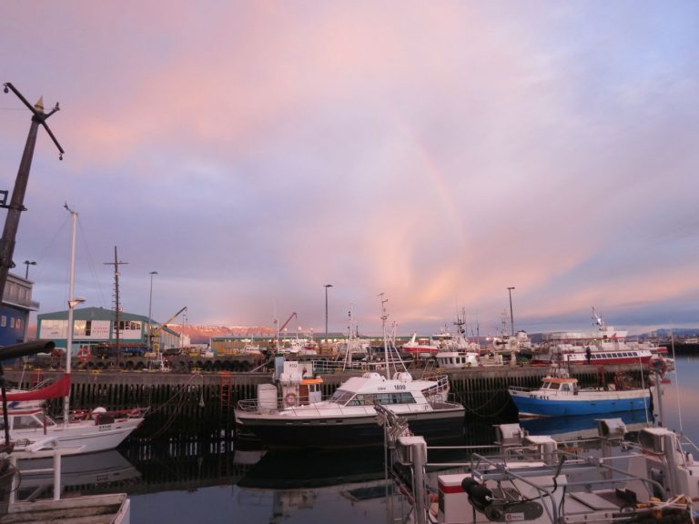 Icland, Reykjavík, Harbour view