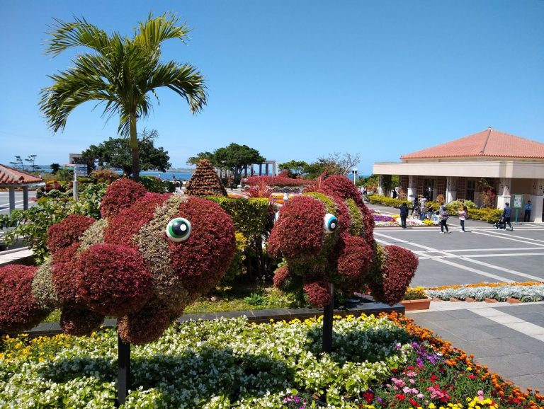 Japan 2019 - Okinawa - Churaumi Aquarium and Expo Park