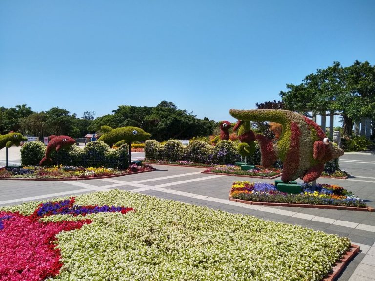 Japan 2019 - Okinawa - Churaumi Aquarium and Expo Park