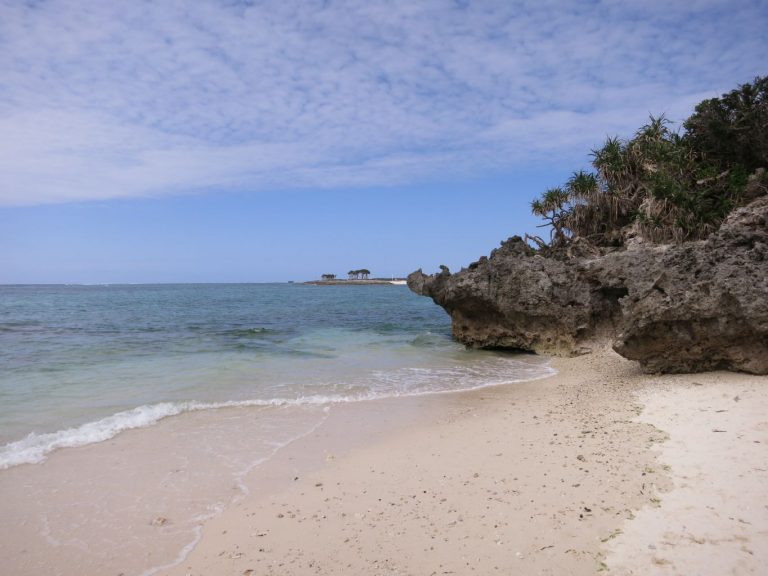 Japan 2019 - Okinawa - Churaumi Aquarium and Expo Park