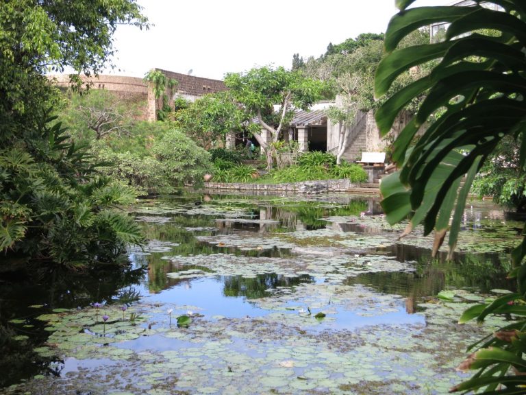 Japan 2019 - Okinawa - Churaumi Aquarium and Expo Park