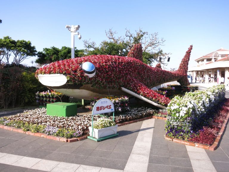 Japan 2019 - Okinawa - Churaumi Aquarium and Expo Park