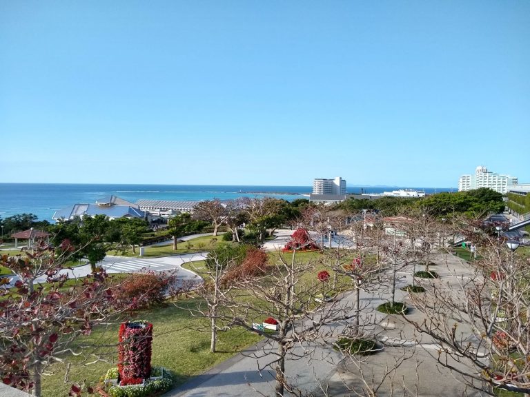 Japan 2019 - Okinawa - Churaumi Aquarium and Expo Park